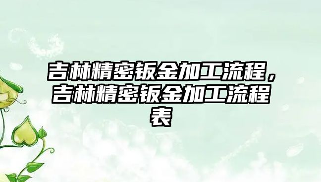 吉林精密鈑金加工流程，吉林精密鈑金加工流程表