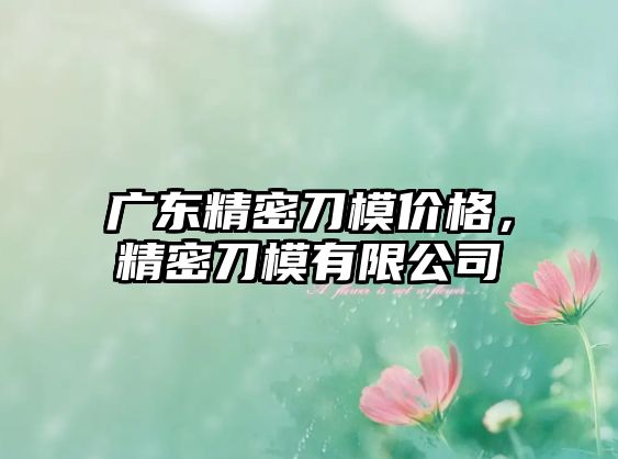 廣東精密刀模價(jià)格，精密刀模有限公司