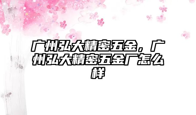 廣州弘大精密五金，廣州弘大精密五金廠怎么樣