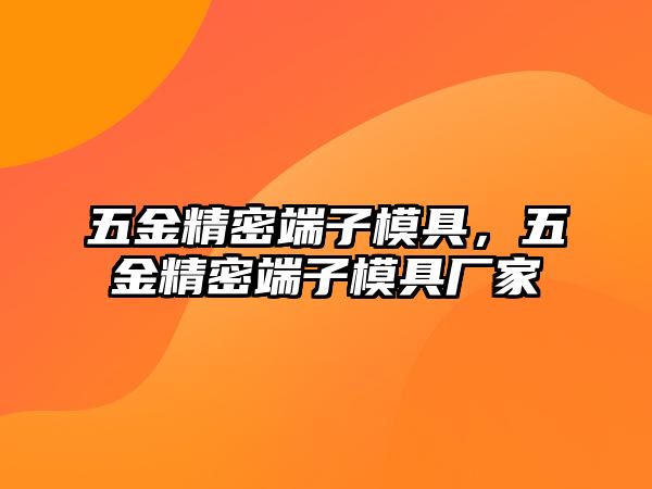 五金精密端子模具，五金精密端子模具廠家