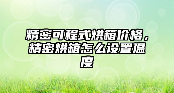 精密可程式烘箱價格，精密烘箱怎么設(shè)置溫度