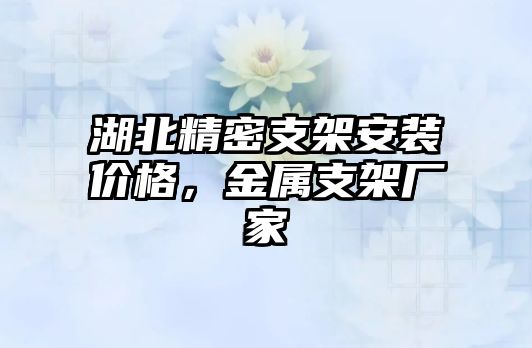 湖北精密支架安裝價格，金屬支架廠家