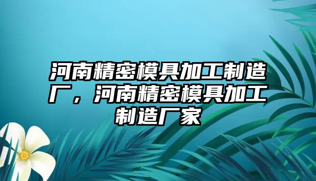 河南精密模具加工制造廠，河南精密模具加工制造廠家