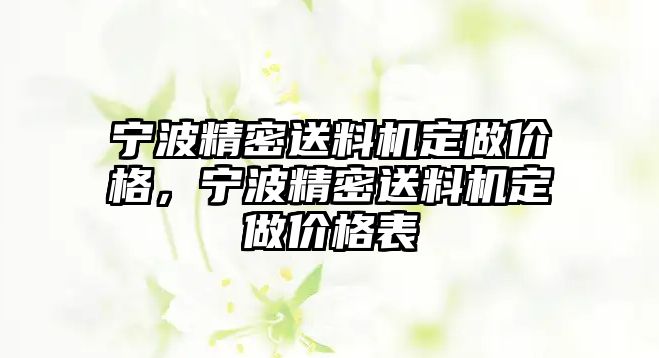 寧波精密送料機(jī)定做價(jià)格，寧波精密送料機(jī)定做價(jià)格表