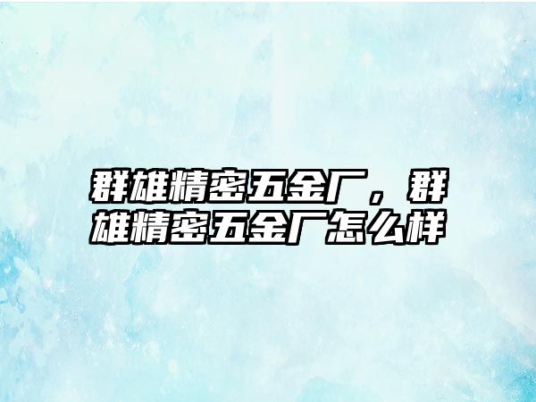 群雄精密五金廠，群雄精密五金廠怎么樣