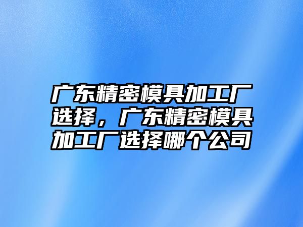 廣東精密模具加工廠選擇，廣東精密模具加工廠選擇哪個(gè)公司