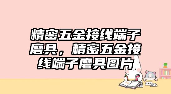 精密五金接線端子磨具，精密五金接線端子磨具圖片