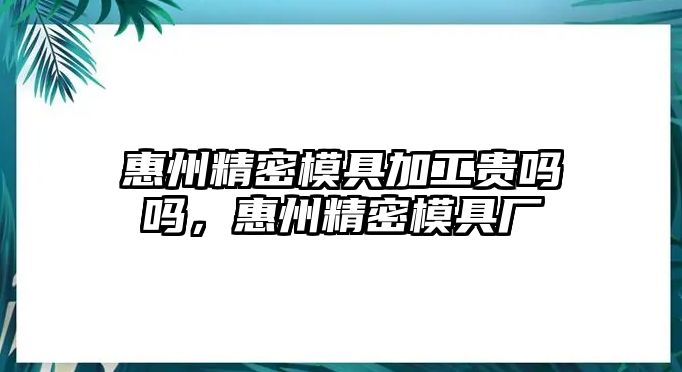 惠州精密模具加工貴嗎嗎，惠州精密模具廠