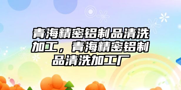 青海精密鋁制品清洗加工，青海精密鋁制品清洗加工廠