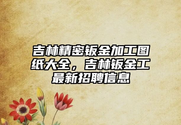 吉林精密鈑金加工圖紙大全，吉林鈑金工最新招聘信息