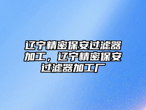 遼寧精密保安過濾器加工，遼寧精密保安過濾器加工廠