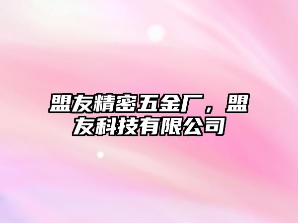 盟友精密五金廠，盟友科技有限公司