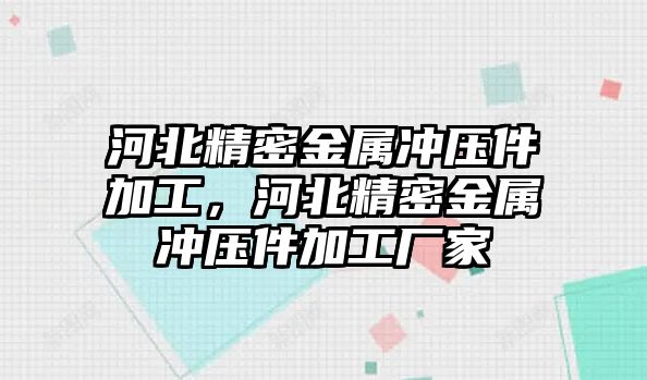 河北精密金屬沖壓件加工，河北精密金屬沖壓件加工廠家