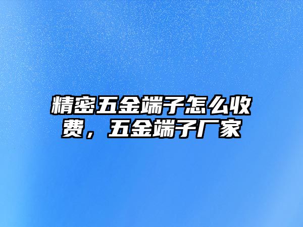 精密五金端子怎么收費，五金端子廠家