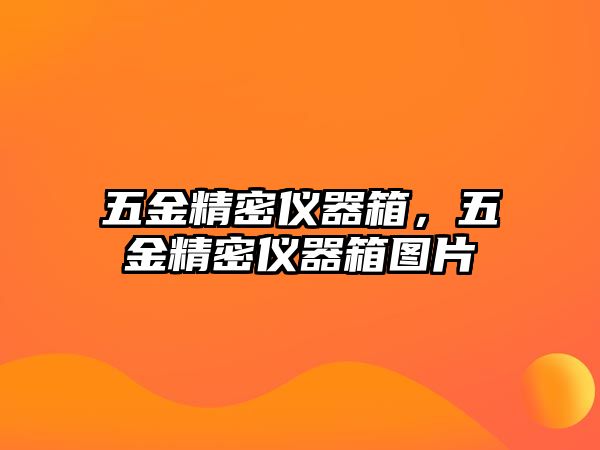 五金精密儀器箱，五金精密儀器箱圖片