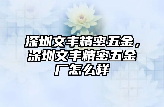 深圳文豐精密五金，深圳文豐精密五金廠怎么樣