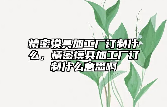 精密模具加工廠訂制什么，精密模具加工廠訂制什么意思啊