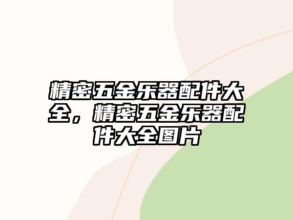 精密五金樂器配件大全，精密五金樂器配件大全圖片