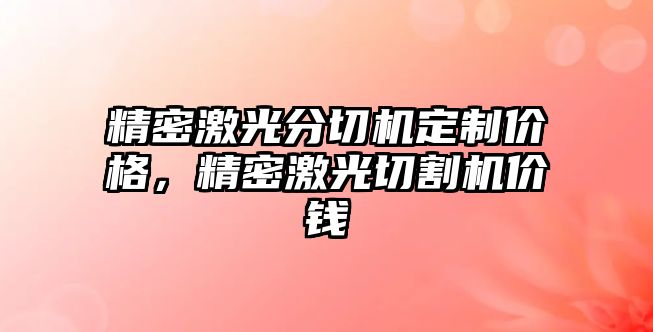 精密激光分切機定制價格，精密激光切割機價錢