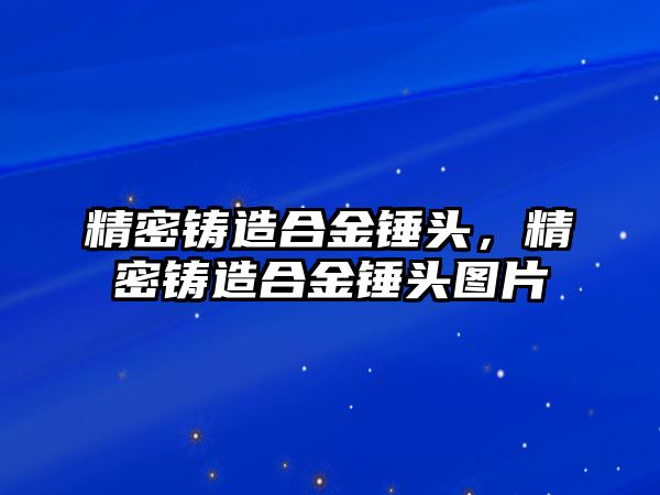 精密鑄造合金錘頭，精密鑄造合金錘頭圖片