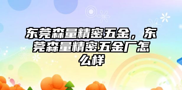 東莞森量精密五金，東莞森量精密五金廠怎么樣