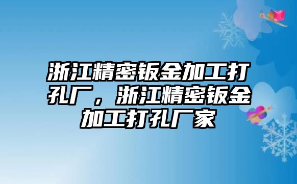 浙江精密鈑金加工打孔廠，浙江精密鈑金加工打孔廠家