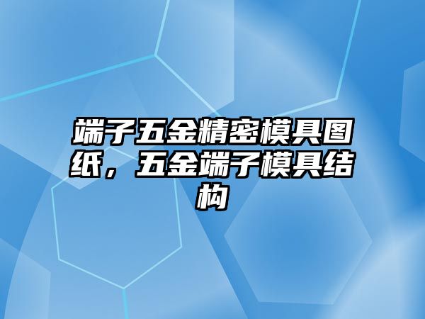 端子五金精密模具圖紙，五金端子模具結(jié)構(gòu)