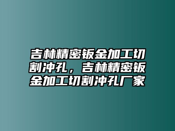 吉林精密鈑金加工切割沖孔，吉林精密鈑金加工切割沖孔廠家