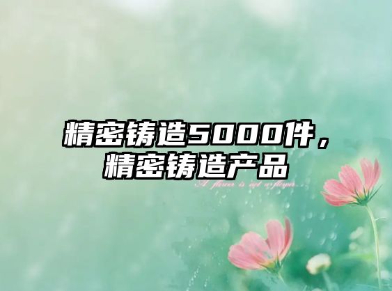 精密鑄造5000件，精密鑄造產(chǎn)品