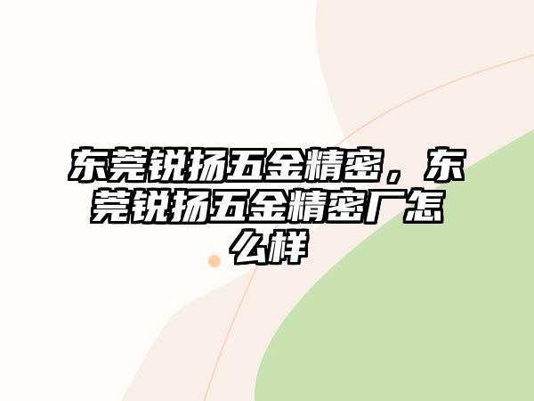 東莞銳揚五金精密，東莞銳揚五金精密廠怎么樣