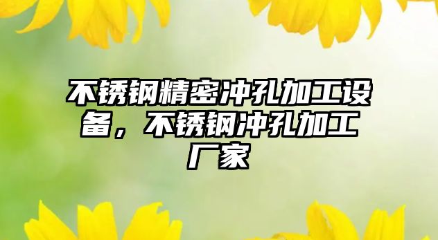 不銹鋼精密沖孔加工設(shè)備，不銹鋼沖孔加工廠家