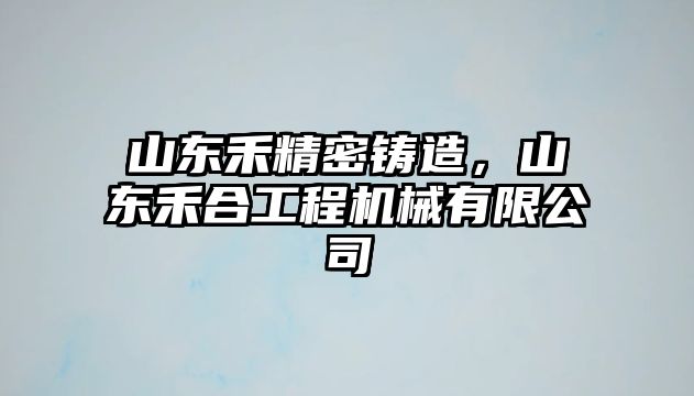 山東禾精密鑄造，山東禾合工程機(jī)械有限公司