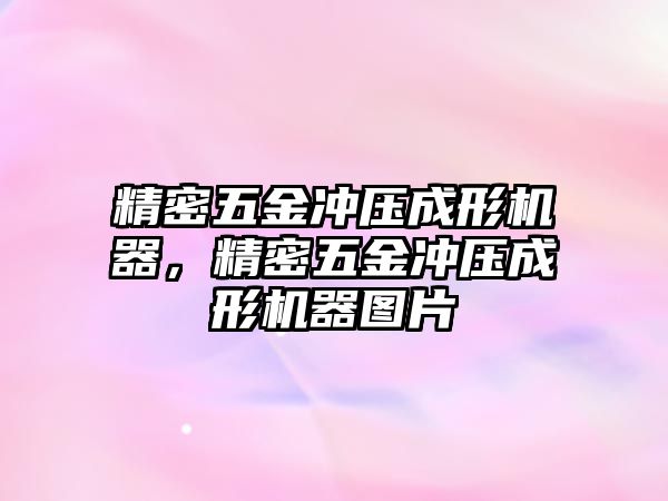 精密五金沖壓成形機(jī)器，精密五金沖壓成形機(jī)器圖片