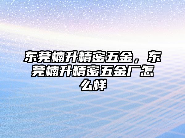 東莞楠升精密五金，東莞楠升精密五金廠怎么樣