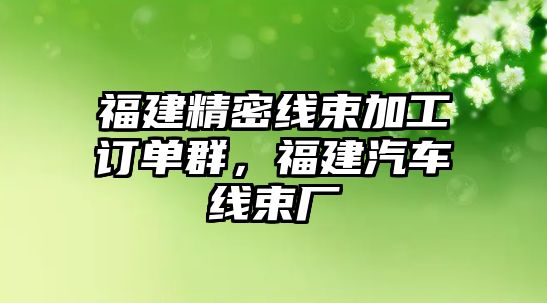 福建精密線束加工訂單群，福建汽車線束廠