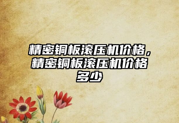 精密銅板滾壓機價格，精密銅板滾壓機價格多少