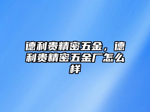 德利貴精密五金，德利貴精密五金廠怎么樣