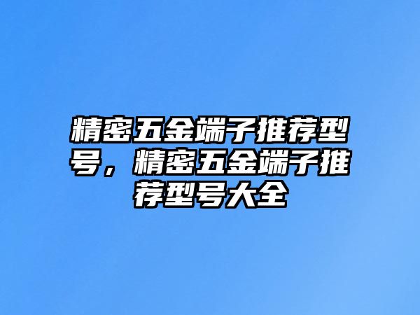 精密五金端子推薦型號，精密五金端子推薦型號大全