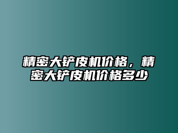 精密大鏟皮機(jī)價(jià)格，精密大鏟皮機(jī)價(jià)格多少