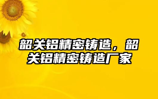 韶關鋁精密鑄造，韶關鋁精密鑄造廠家