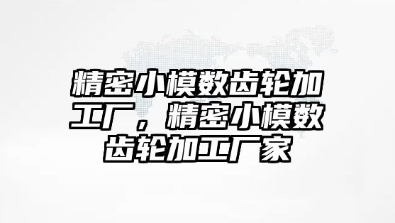 精密小模數(shù)齒輪加工廠，精密小模數(shù)齒輪加工廠家