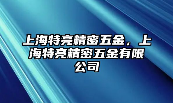 上海特亮精密五金，上海特亮精密五金有限公司