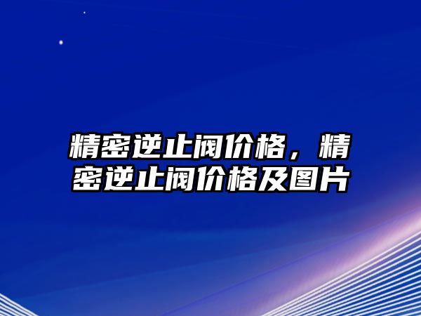 精密逆止閥價格，精密逆止閥價格及圖片