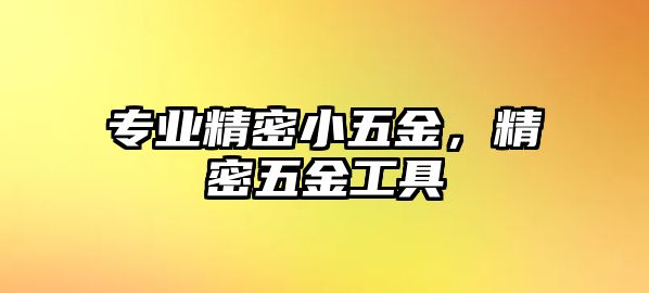 專業(yè)精密小五金，精密五金工具