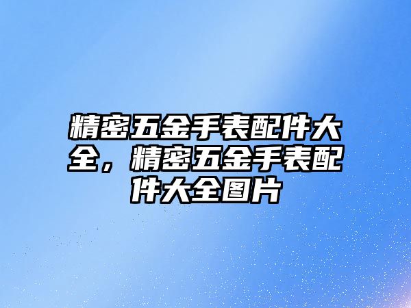 精密五金手表配件大全，精密五金手表配件大全圖片