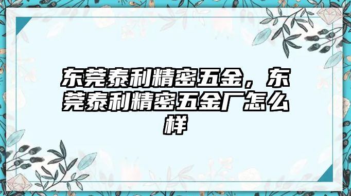 東莞泰利精密五金，東莞泰利精密五金廠怎么樣