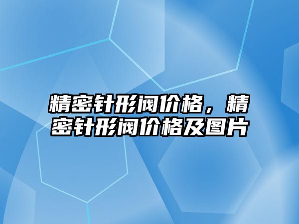 精密針形閥價格，精密針形閥價格及圖片