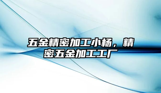 五金精密加工小楊，精密五金加工工廠