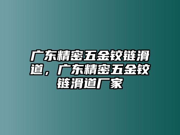 廣東精密五金鉸鏈滑道，廣東精密五金鉸鏈滑道廠家