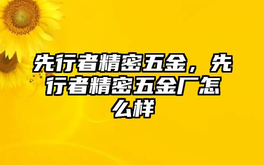 先行者精密五金，先行者精密五金廠怎么樣